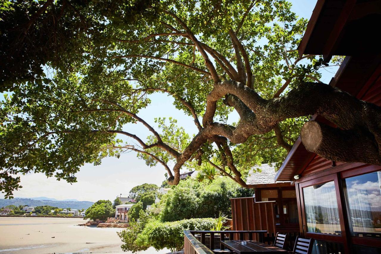 Under Milkwood Resort Knysna Esterno foto